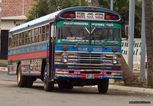 Typischer Bus