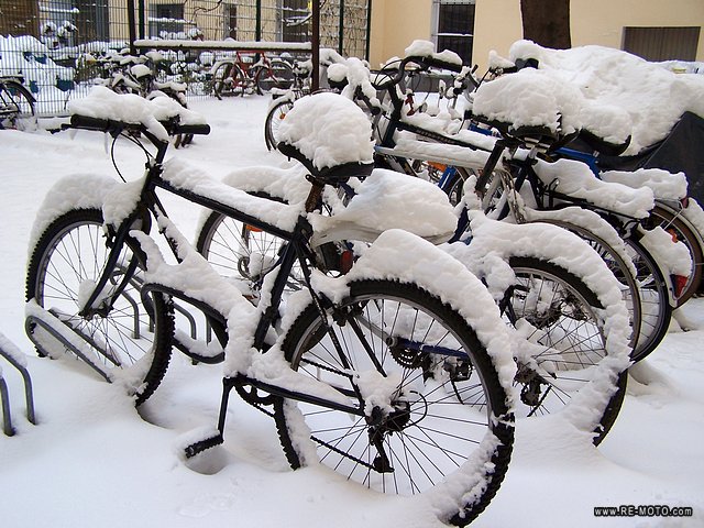 In spite of the cold in winter, the bicycle is one of the most used vehicles in Berlin.
