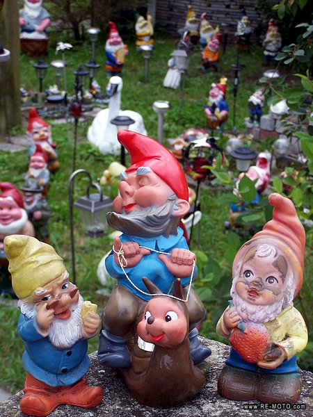 Party of the garden gnomes.