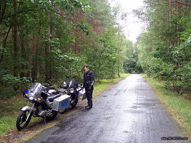 A ride through the forests, towards Nowe Warpno.