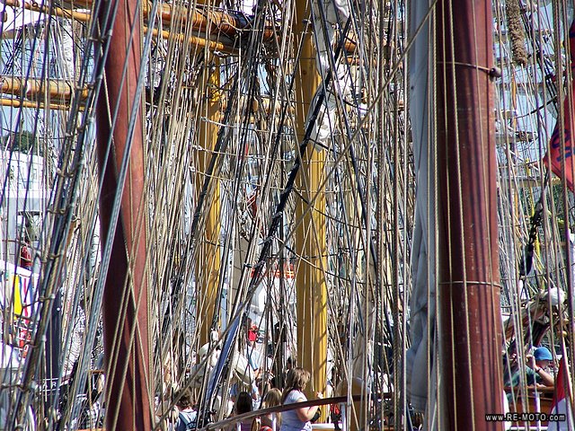 Tall Ship Races, Szczezin